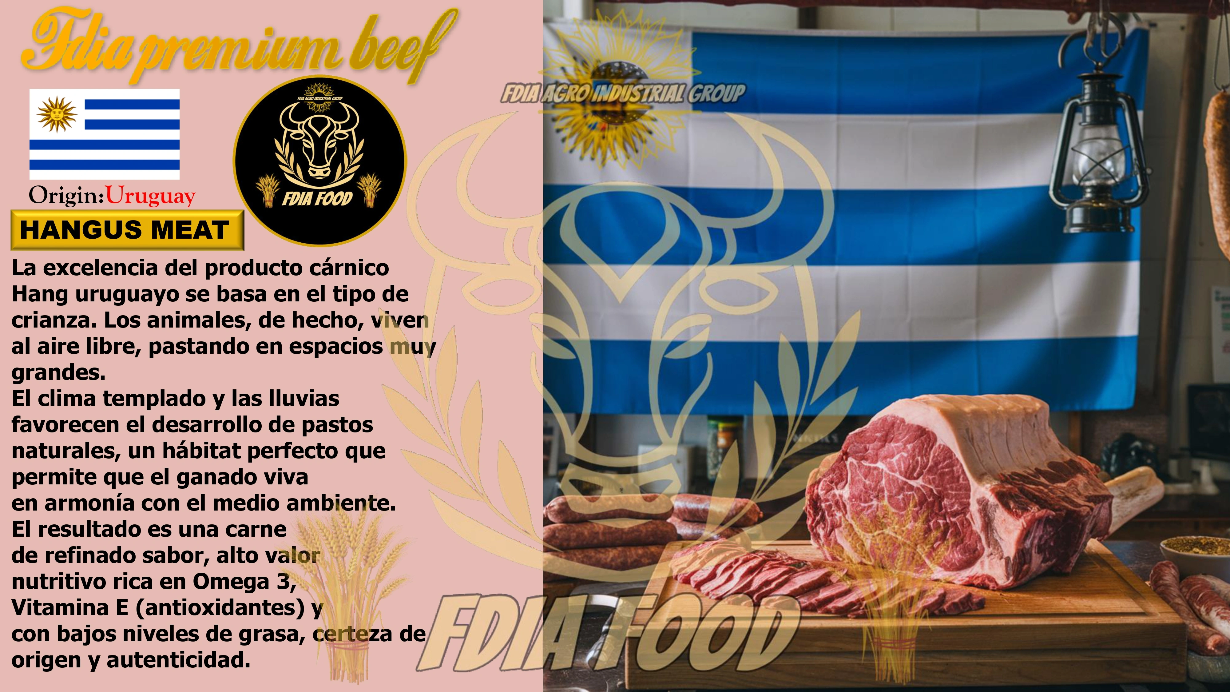 meat (25)